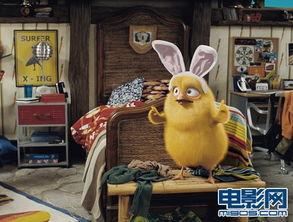 拯救小兔 在线观看,一场温馨的冒险之旅